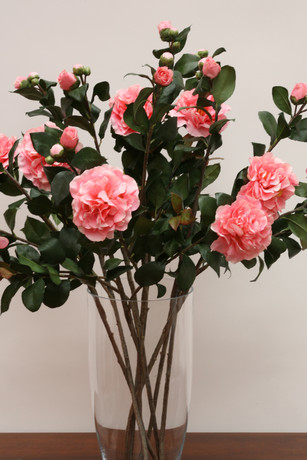 Verdes Naturales BCB 9