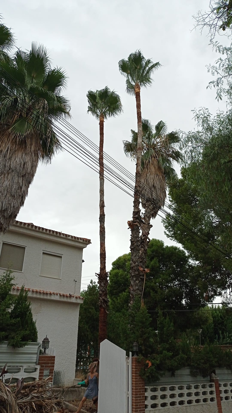 Jardines y Piscinas Iris 7