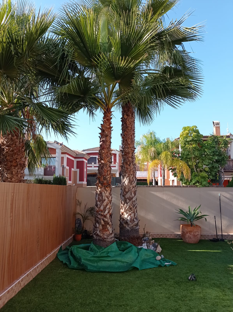 Jardines y Piscinas Iris 8