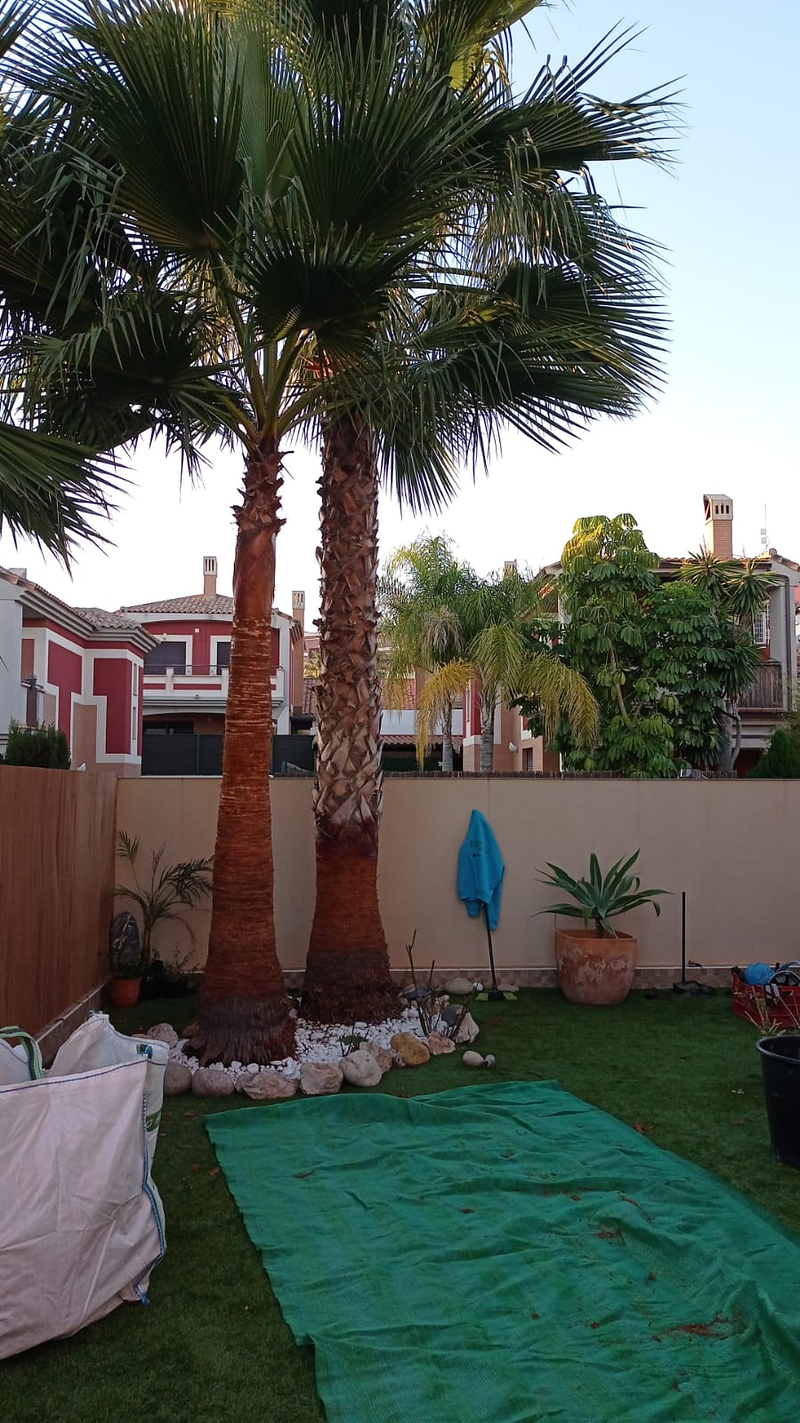 Jardines y Piscinas Iris 5