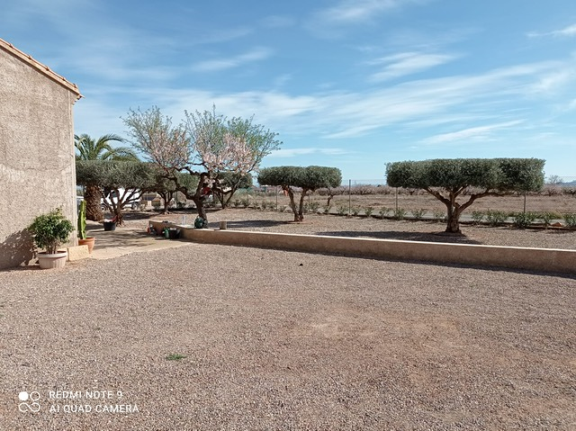 Jardines y Piscinas Iris JARDINERIA: EMPRESAS DE SERVICIOS