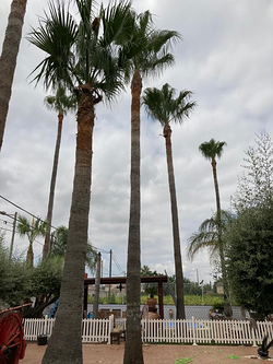 Galería de imágenes