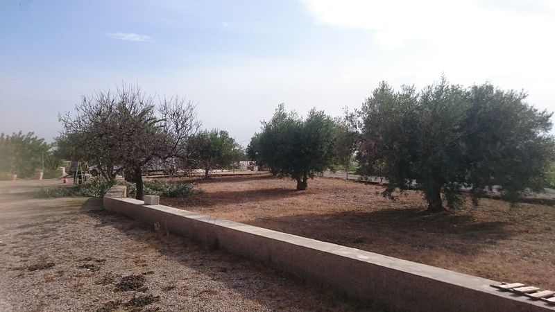 Jardines y Piscinas Iris 4