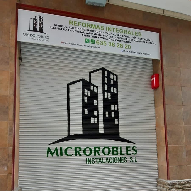 Microrobles REFORMAS EN GENERAL