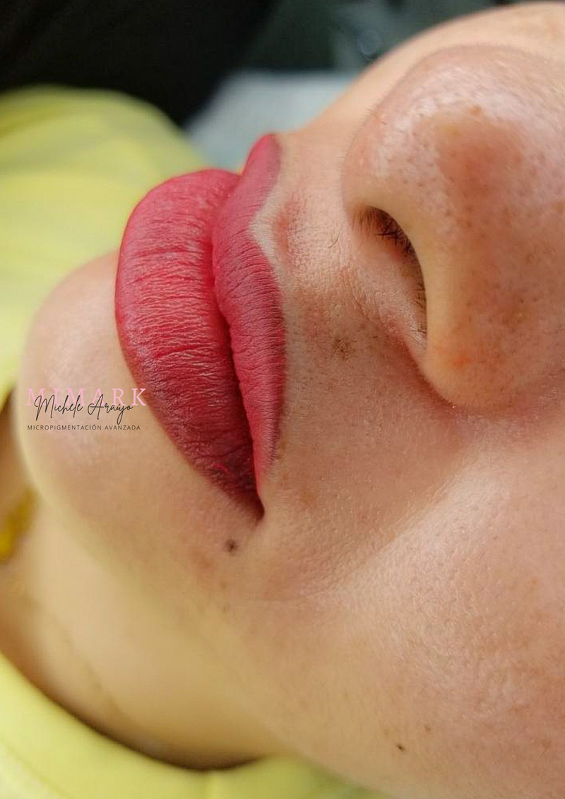 Micropigmentación - Microblading Mimark 6