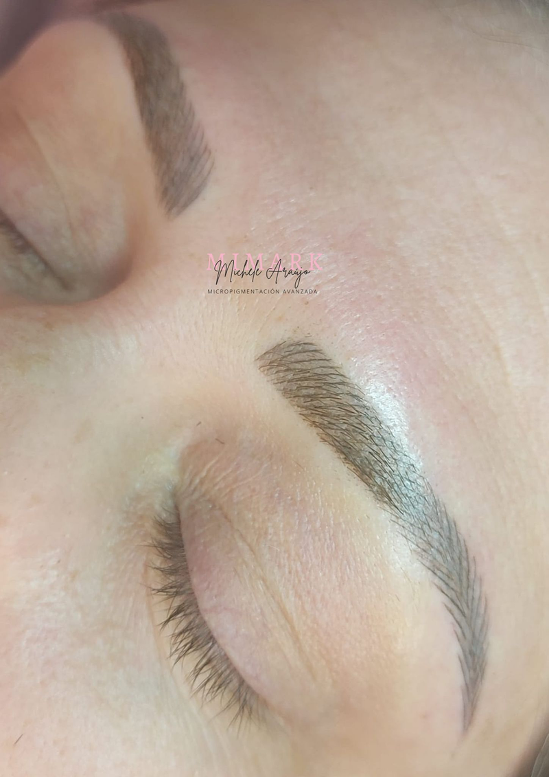 Micropigmentación - Microblading Mimark 5