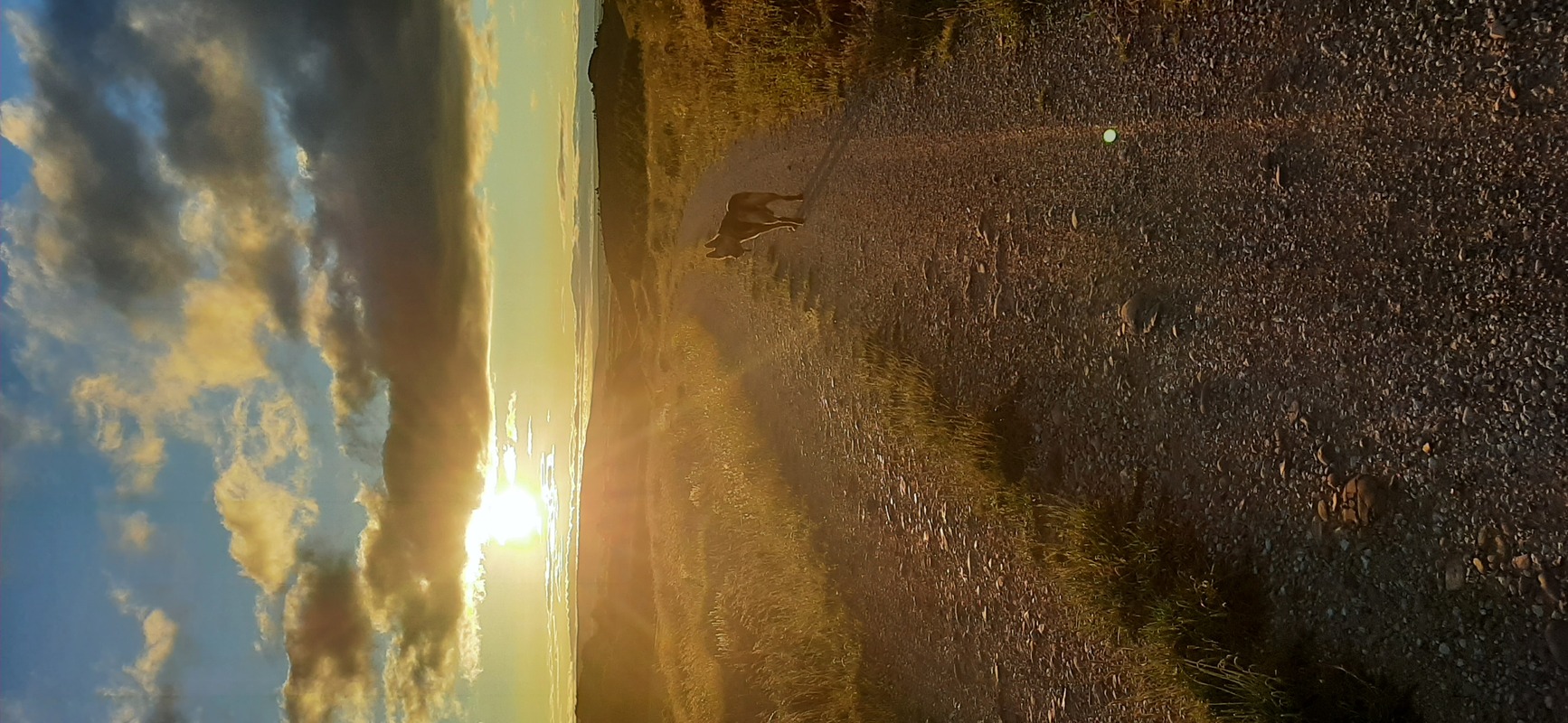 Camino Travel Tours 3