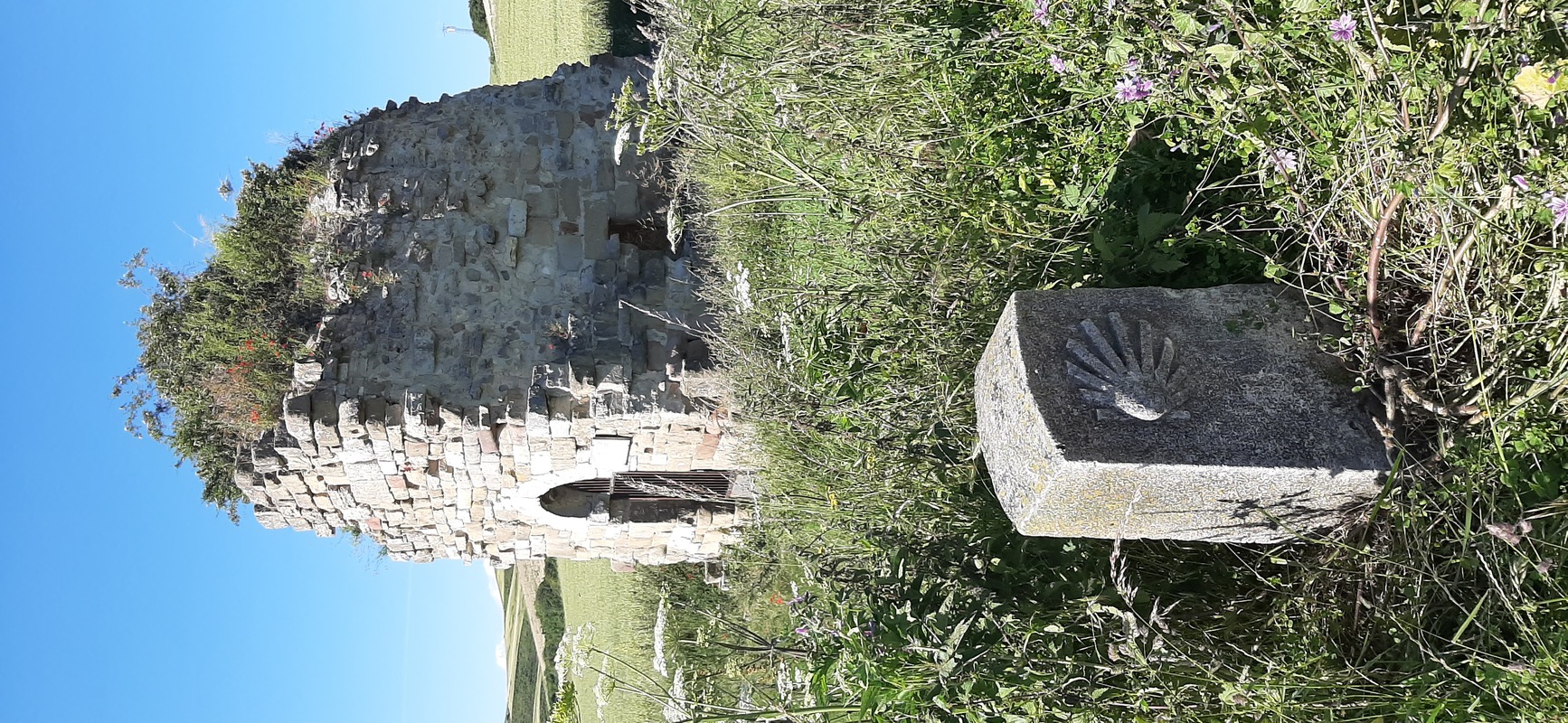 Camino Travel Tours 10