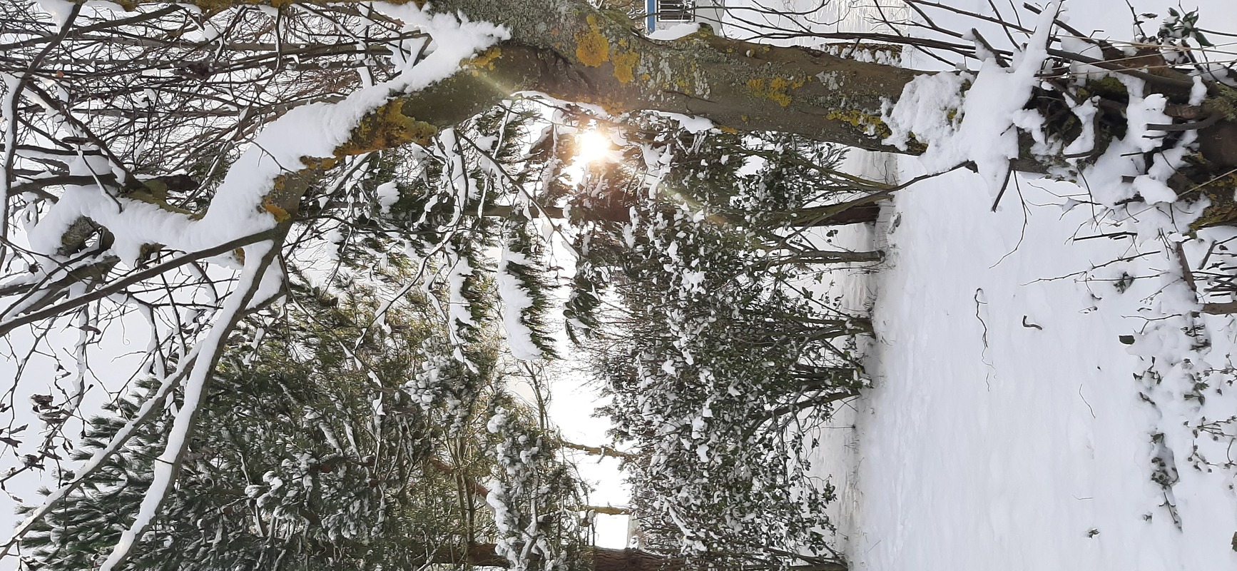 Camino Travel Tours 4