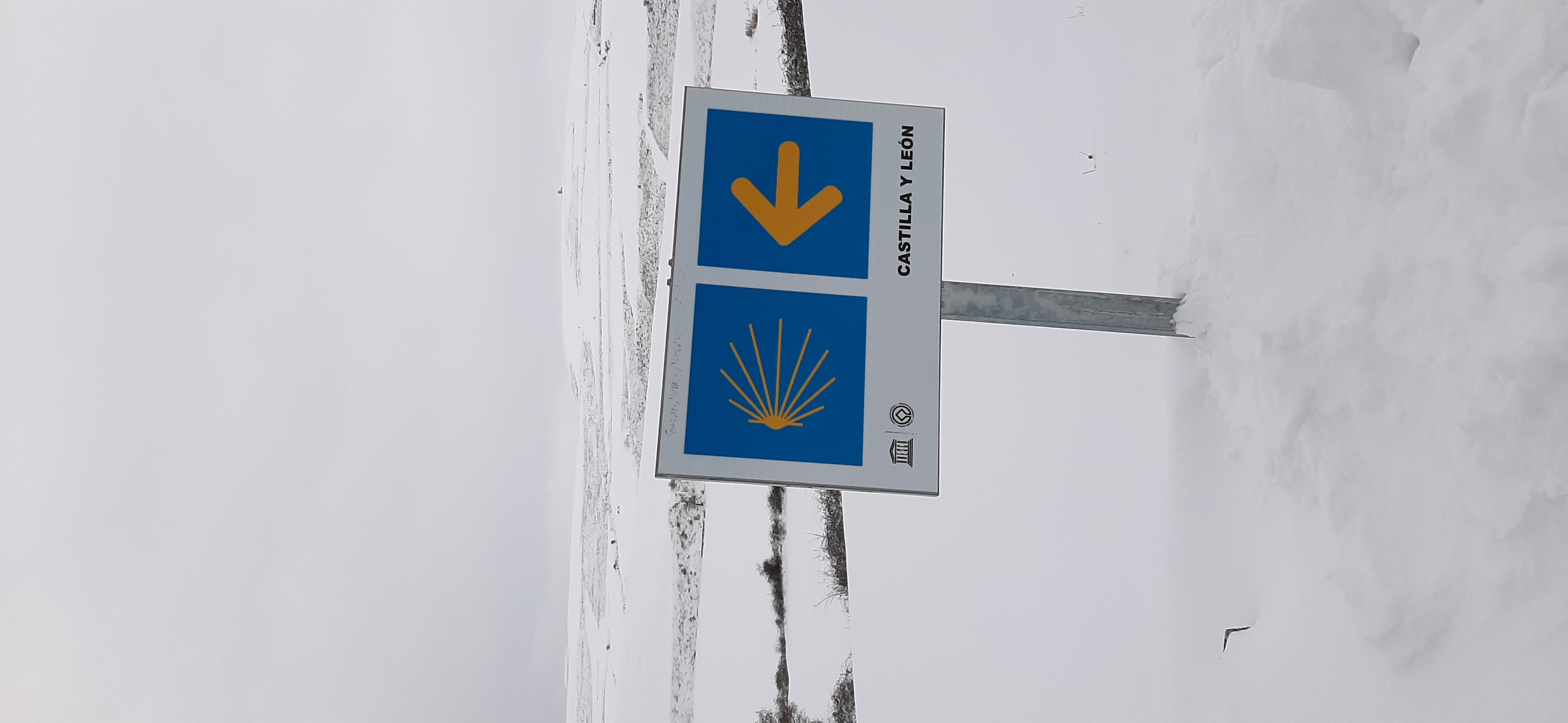 Camino Travel Tours 16