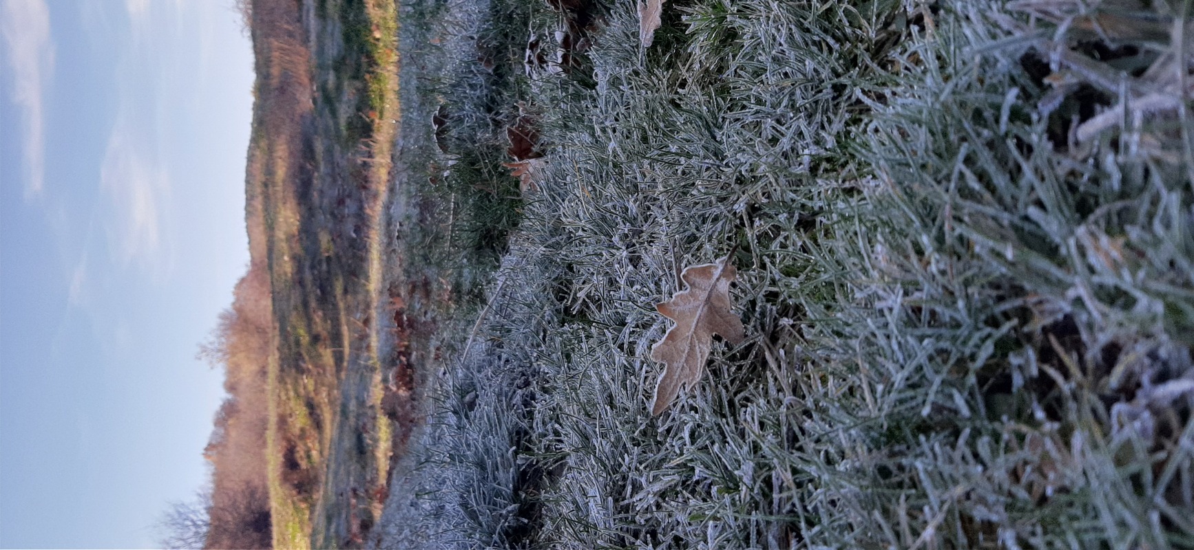 Camino Travel Tours 8