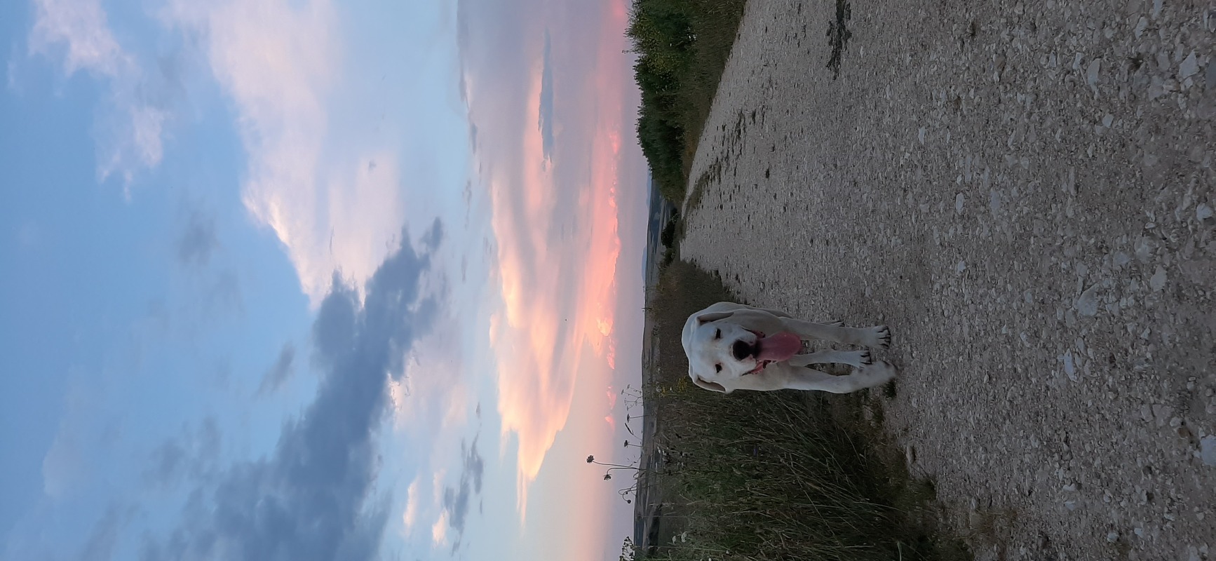 Camino Travel Tours 13