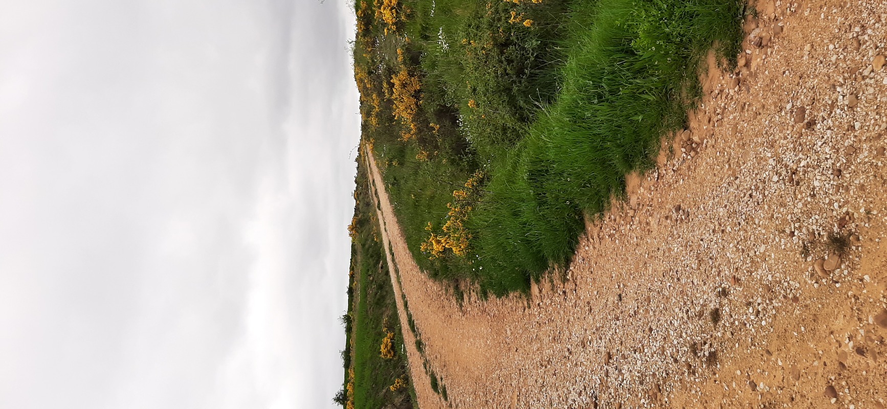 Camino Travel Tours 14