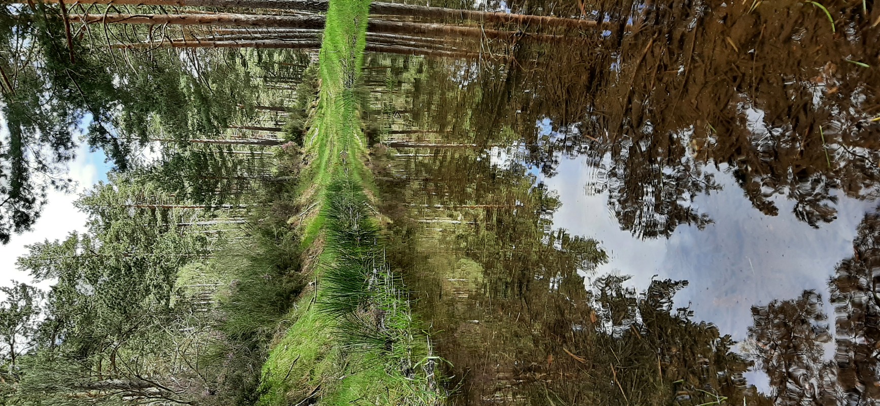 Camino Travel Tours 11