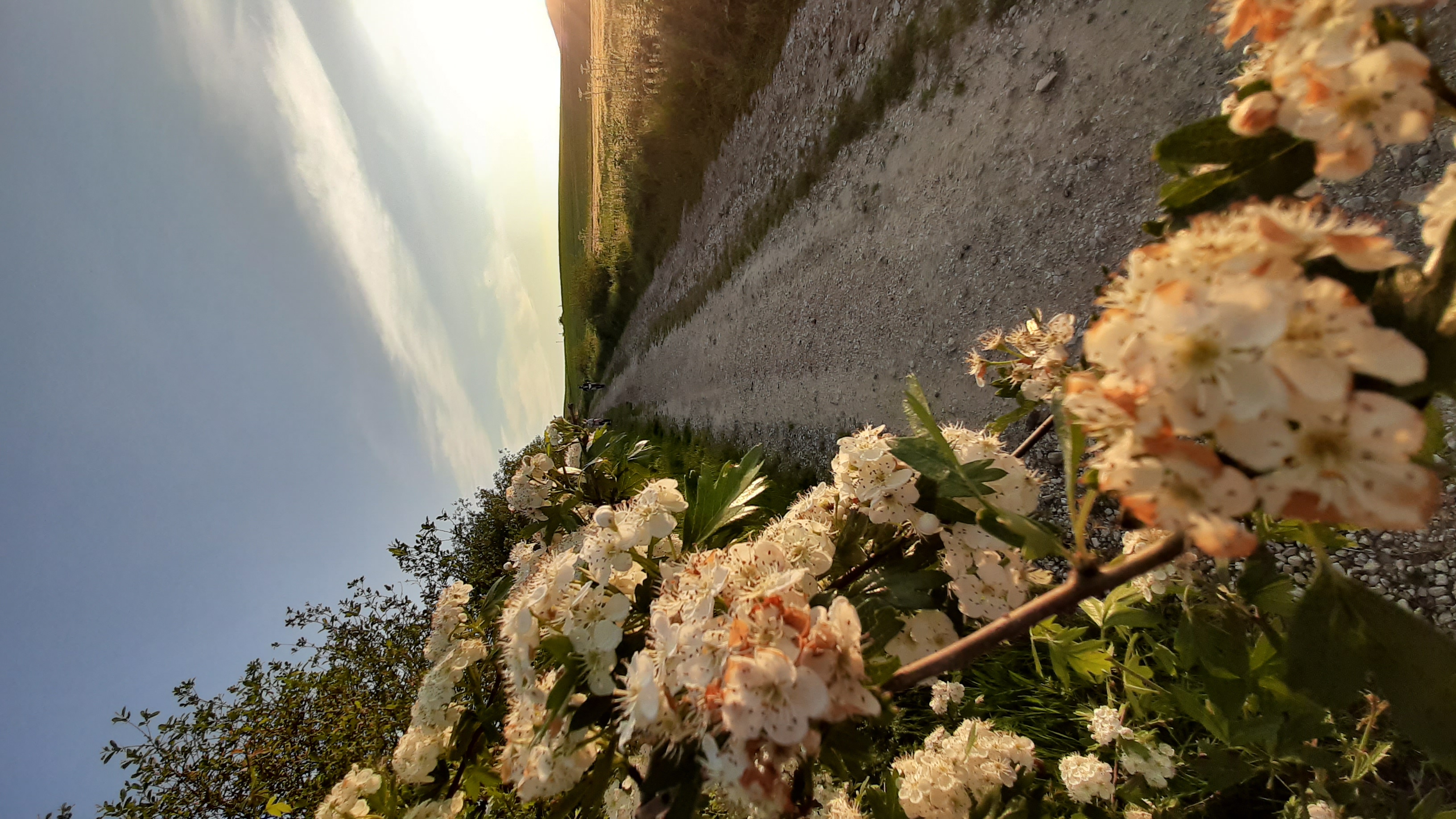 Imagen de Camino Travel Tours