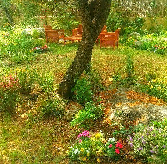 Jardiner&iacute;a Maderas Vivas 9