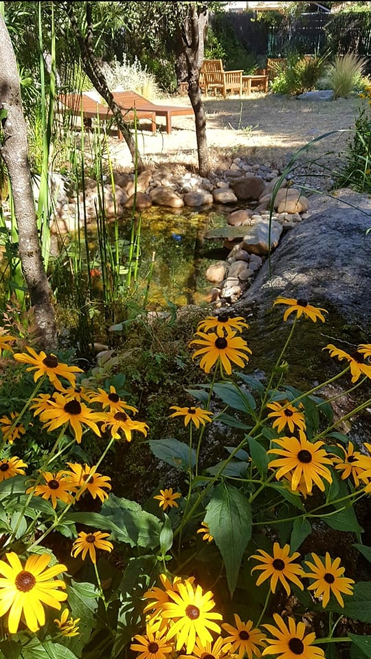 Jardiner&iacute;a Maderas Vivas 8