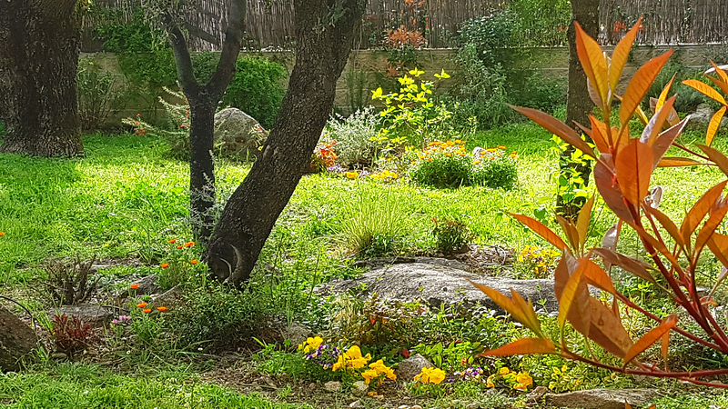 Jardiner&iacute;a Maderas Vivas 4