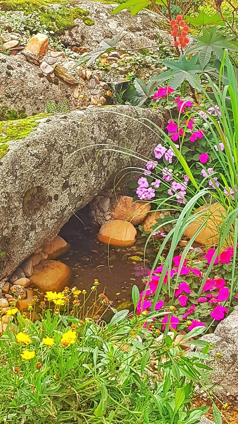 Jardiner&iacute;a Maderas Vivas 10