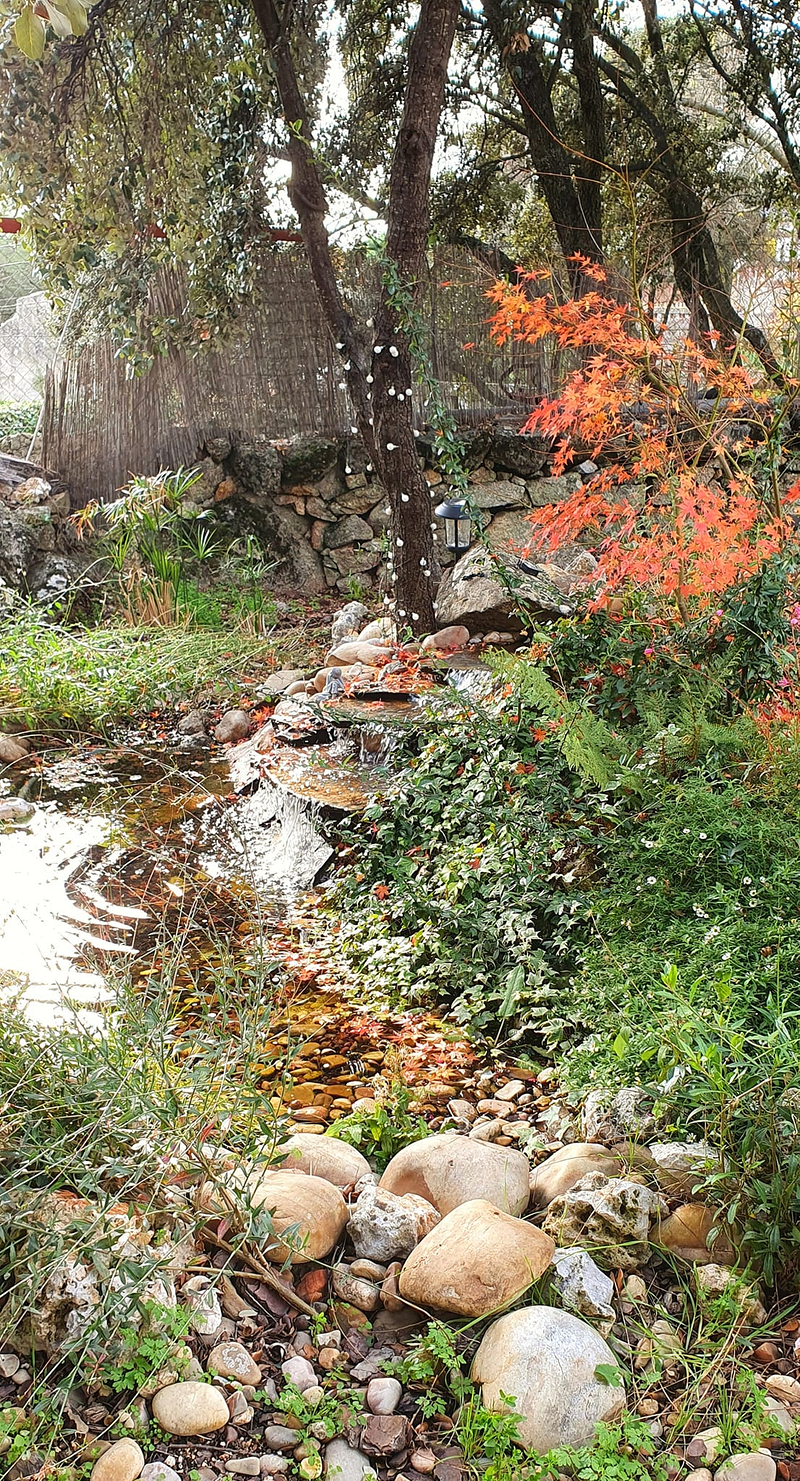 Jardiner&iacute;a Maderas Vivas 11