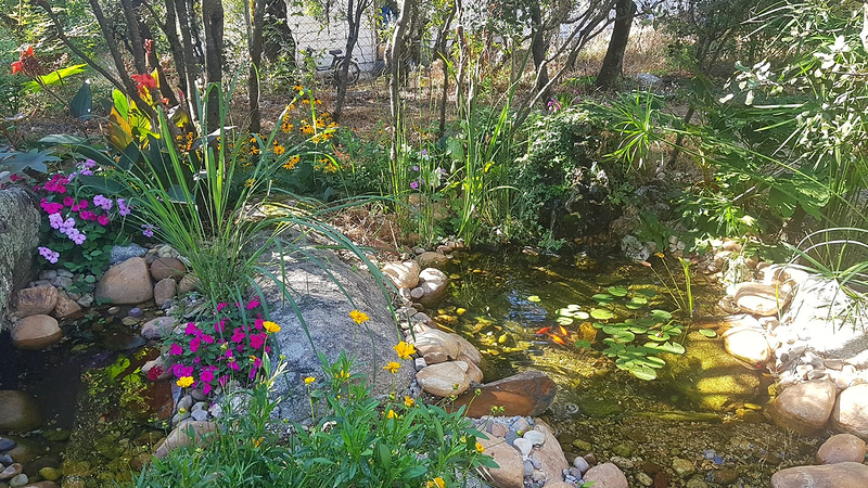 Jardiner&iacute;a Maderas Vivas 2