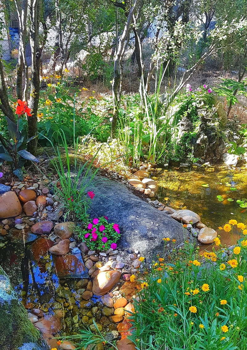 Jardiner&iacute;a Maderas Vivas 7