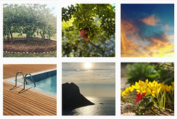 Galería de imágenes