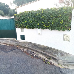 Galería de imágenes