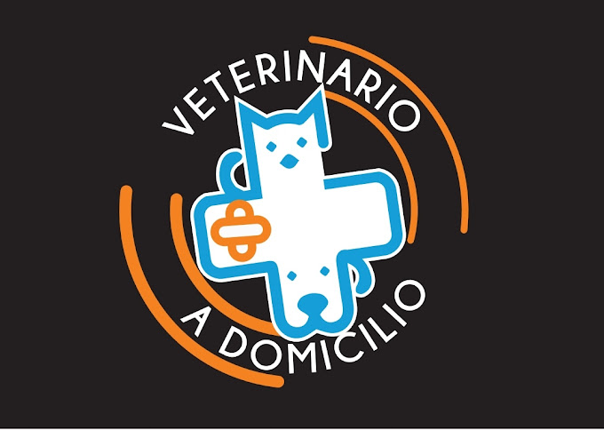 Veterinario A Domicilio