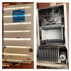 Galería de imágenes