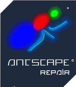 Antscape Repair