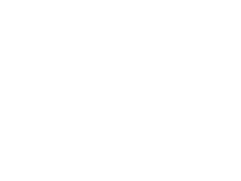 Holistic - Centro de estudios y terapias naturales