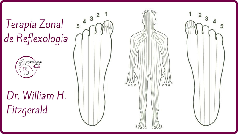 Reflexología Podal Anahí 22