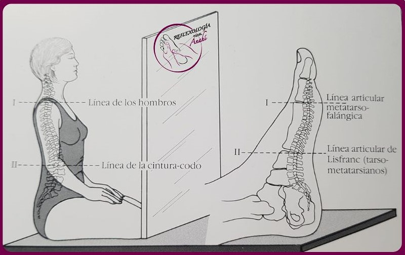 Reflexología Podal Anahí 10