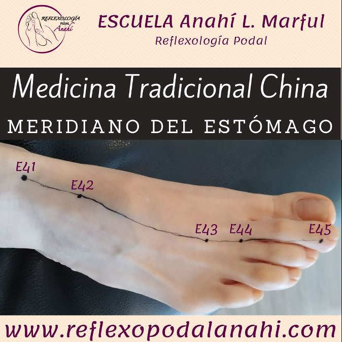 Reflexología Podal Anahí 6