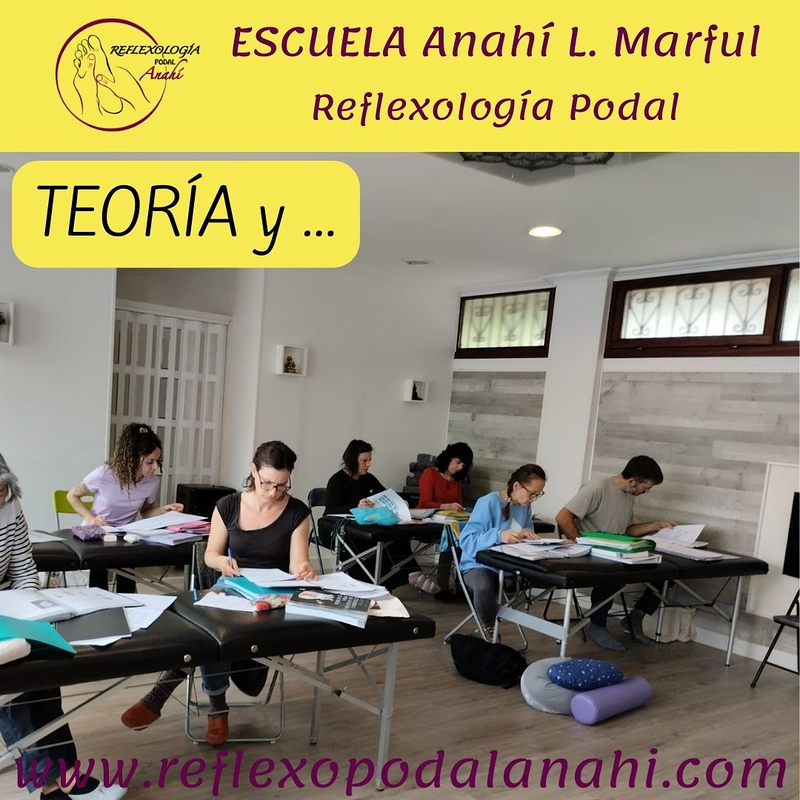 Reflexología Podal Anahí 17