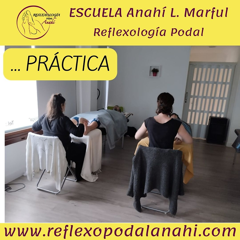 Reflexología Podal Anahí 18
