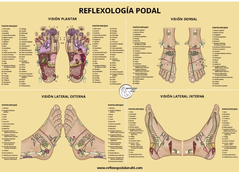 Reflexología Podal Anahí Andoain