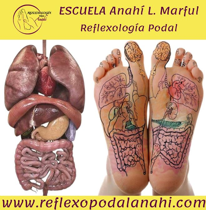 Reflexología Podal Anahí 4
