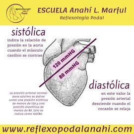 Reflexología Podal Anahí 31