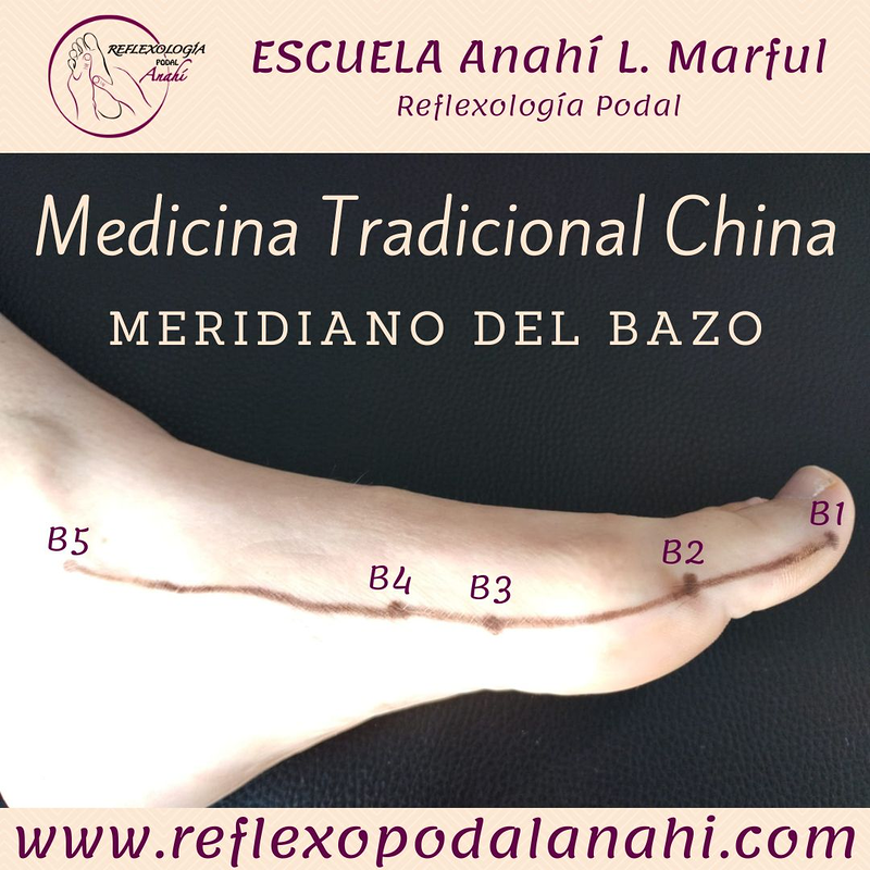 Reflexología Podal Anahí 27