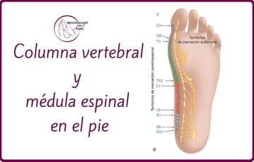 Reflexología Podal Anahí 36