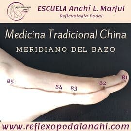 Reflexología Podal Anahí 32