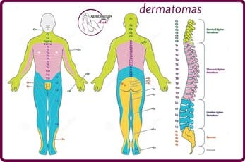 Reflexología Podal Anahí 46