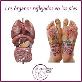 Reflexología Podal Anahí 49