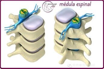 Reflexología Podal Anahí 34