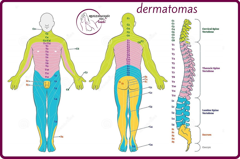 Reflexología Podal Anahí 25