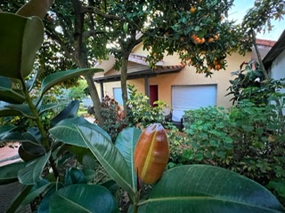 Office Inmobiliaria 4