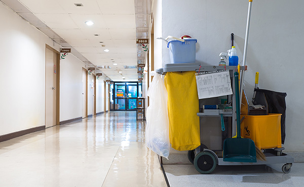 LIMPIEZAS REINA - Empresas de Limpieza en Elche 8