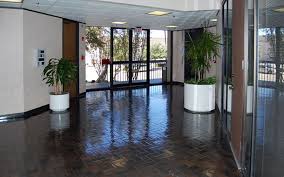 LIMPIEZAS REINA - Empresas de Limpieza en Elche 6